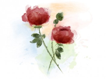 350x263 Dagubi Tutorial