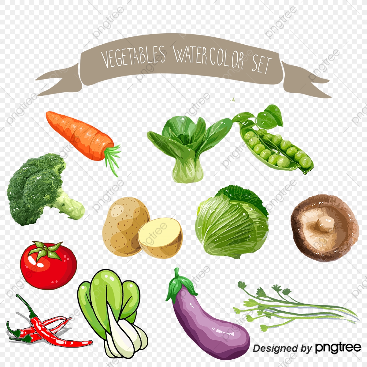 Vegetable Watercolor, Vegetable Vector, Watercolor Vector 1200x1200 Vegetable Watercolor, Vegetable Vector, Watercolor Vector