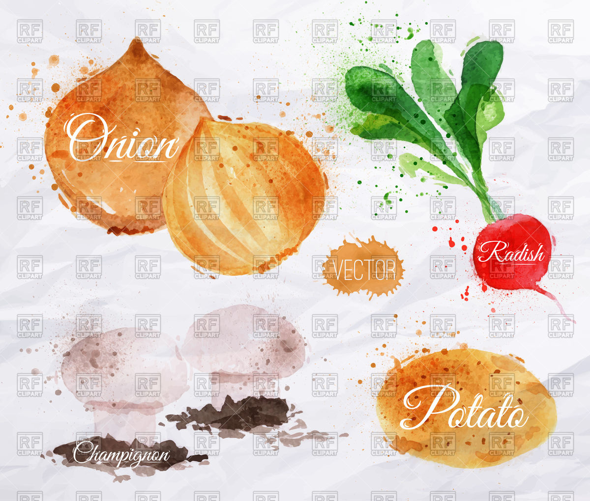 Vegetables Set Drawn Watercolor On Grey Background Vector Image 1200x1020 Vegetables Set Drawn Watercolor On Grey Background Vector Image