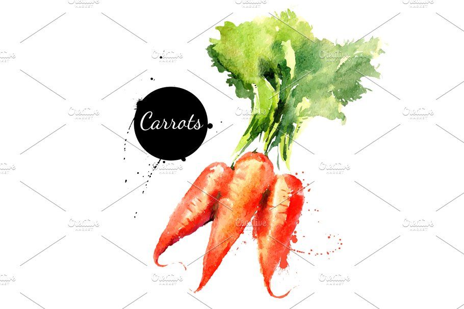 Watercolor Vegetables Vector 910x607 Watercolor Vegetables Vector