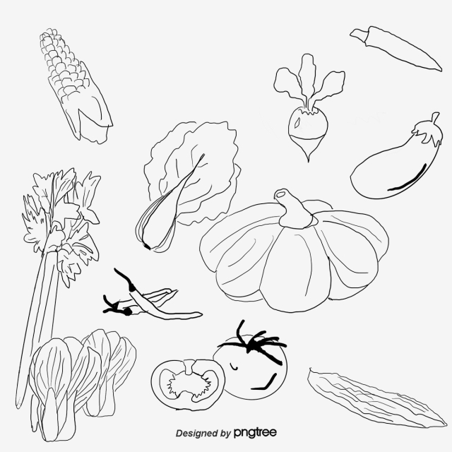 Watercolor Vegetables Png, Vector, And Clipart 640x640 Watercolor Vegetables Png, Vector, And Clipart