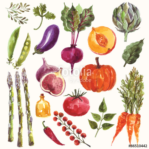 Watercolor Vegetables And Fruit Stock Image And Royalty Free 500x500 Watercolor Vegetables And Fruit Stock Image And Royalty Free