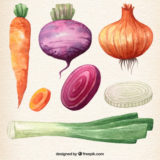Watercolor Vegetables Collection Vector Free Download 626x626 Watercolor Vegetables Collection Vector Free Download