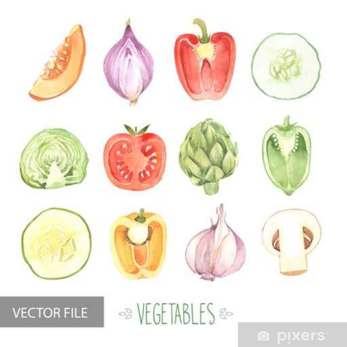 Watercolor Vegetables Organic Vector Set Wall Mural 700x700 Watercolor Vegetables Organic Vector Set Wall Mural