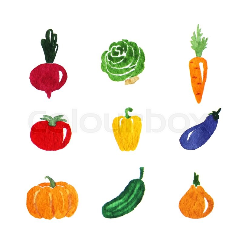 Watercolor Vegetables Vector Set Stock Vector Colourbox 800x800 Watercolor Vegetables Vector Set Stock Vector Colourbox