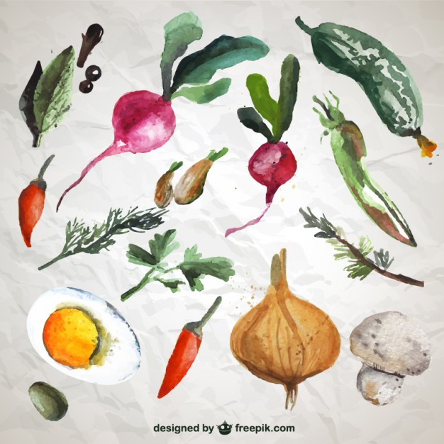 Collection Of Watercolor Vegetables Vector Premium Download 626x626 Collection Of Watercolor Vegetables Vector Premium Download