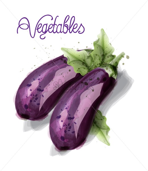 Eggplant Vegetables Vector Watercolor Isolated On White Background 520x600 Eggplant Vegetables Vector Watercolor Isolated On White Background