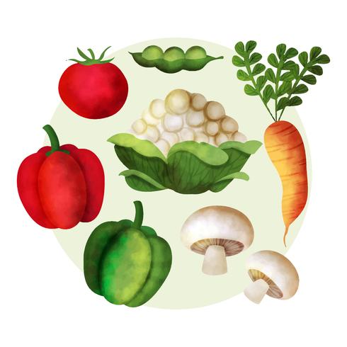Vector Watercolor Vegetables 490x490 Vector Watercolor Vegetables