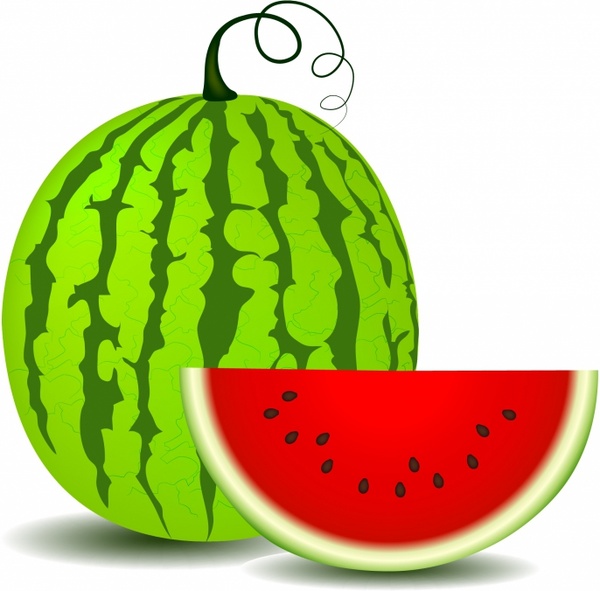 600x591 Watermelon Free Vector In Adobe Illustrator