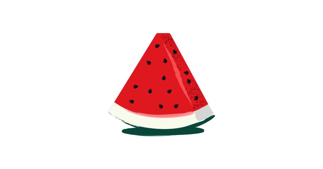 1080x565 Watermelon Illustration Free Vector And Transparent Png