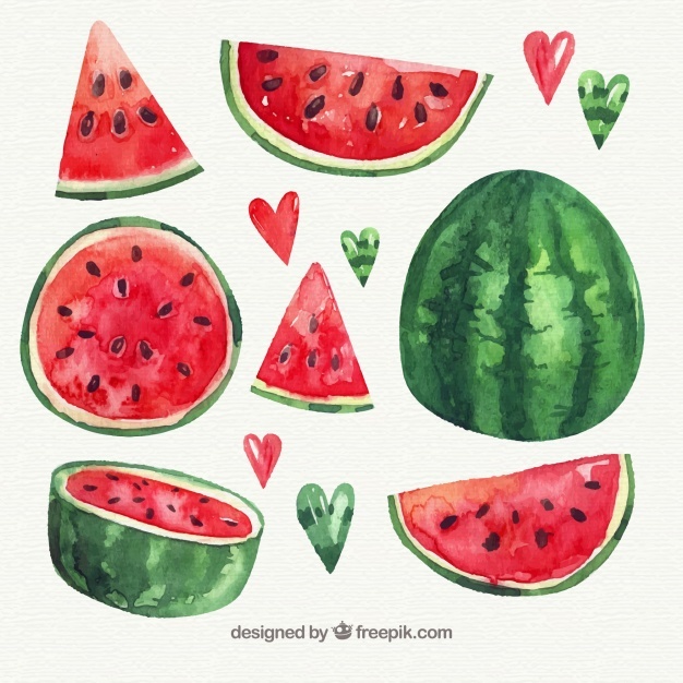 626x626 Watermelon Vectors, Photos And Free Download