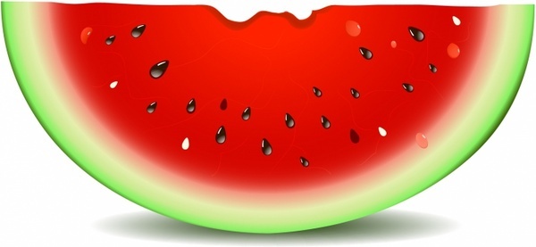 600x277 Watermelon Free Vector Download