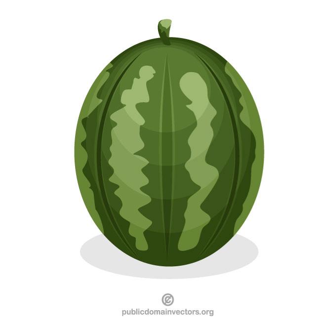660x660 Watermelon Vector Graphics