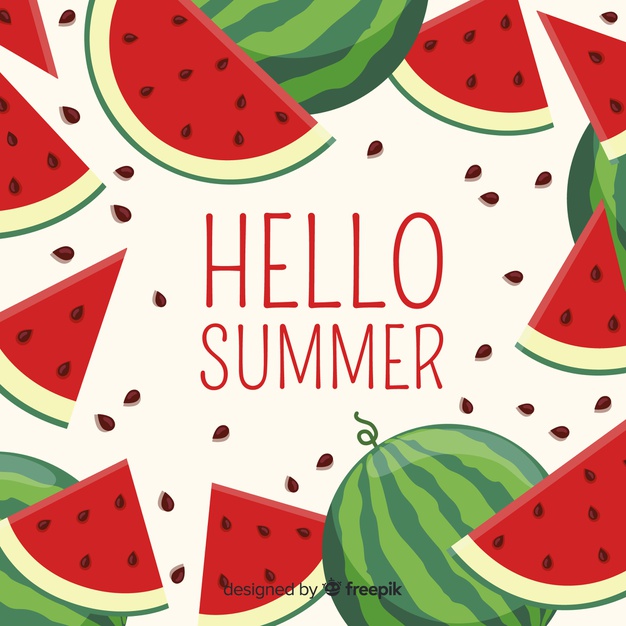626x626 Watermelon Vectors, Photos And Free Download