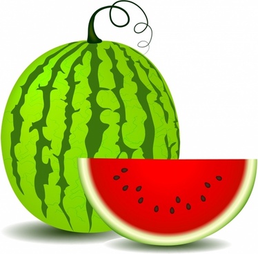 Watermelon Vector Png at Vectorified.com | Collection of Watermelon ...