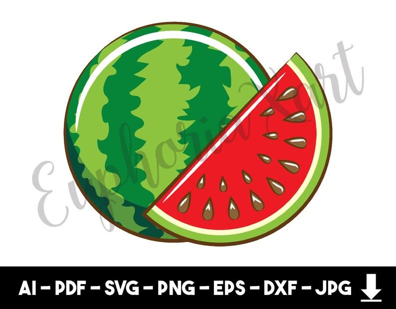 794x619 Watermelon Watermelon Cricut, Watermelon Clipart, Watermelon
