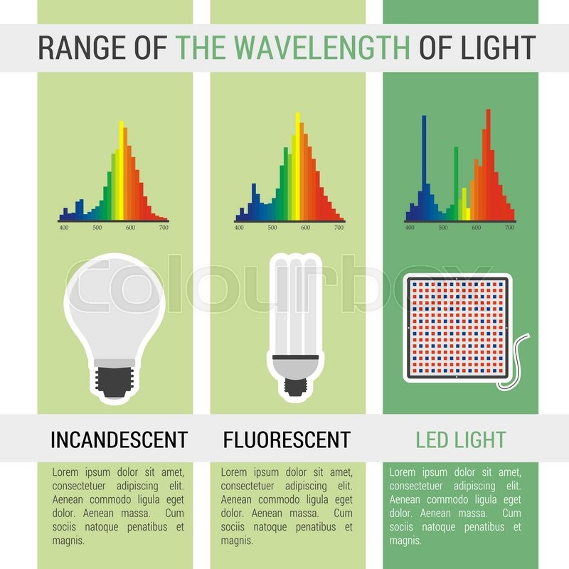 800x800 Vector Infographic Different Lamps Stock Vector Colourbox
