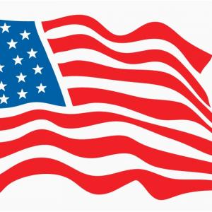 300x300 Flat And Waving American Flag Vector Cqrecords