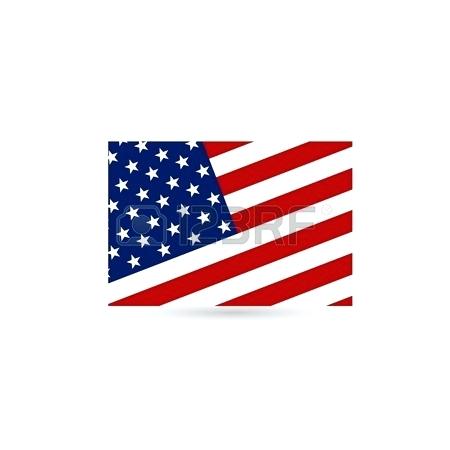 450x450 American Flag Vector