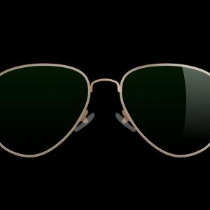 300x300 Ray Ban Wayfarer Sunglasses Vector Free Savoyuptown
