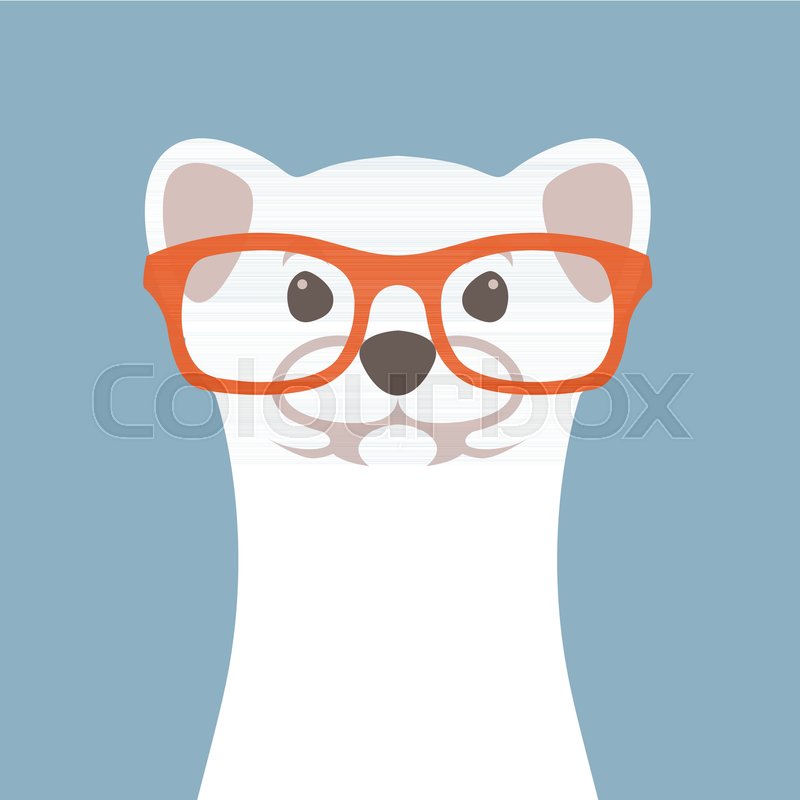 800x800 Weasel In Glasses Vector Illustration Stock Vector Colourbox