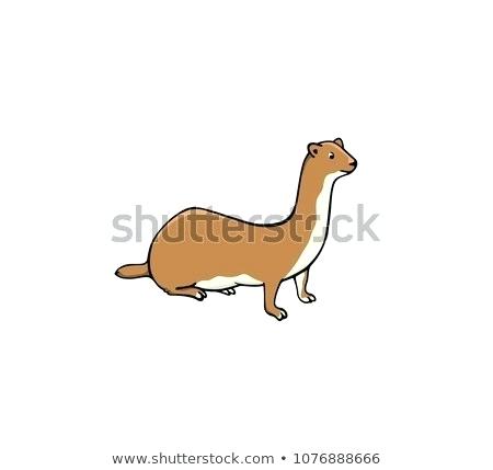 450x429 How To Draw A Weasel