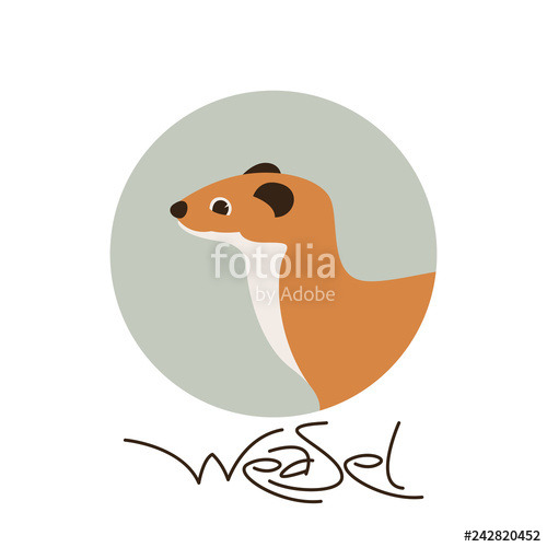 500x500 Weasel Vector Illustration, Flat Style,profile View Stock Image