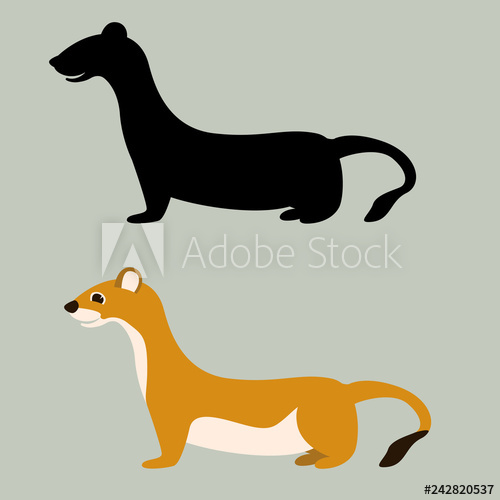 500x500 Weasel Vector Illustration, Flat Style, Black Silhouetteprofile
