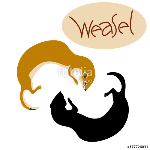 500x500 Weasel Vector Illustration Flat Style Profile Side Black