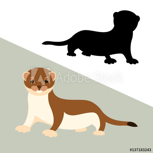 500x500 Weasel Vector Illustration Style Flat Set