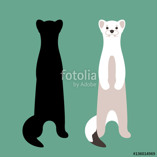 500x500 Weasel Vector Illustration Style Flat Set Silhouette Stock Image