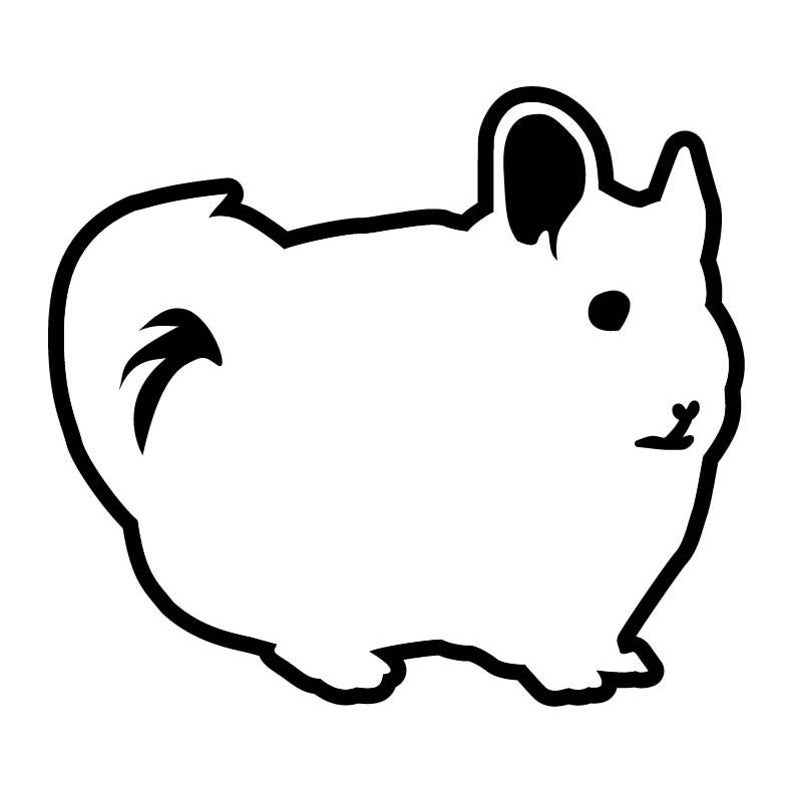 794x794 Chinchilla Pet Weasel Vector Dxf Vinyl Etsy