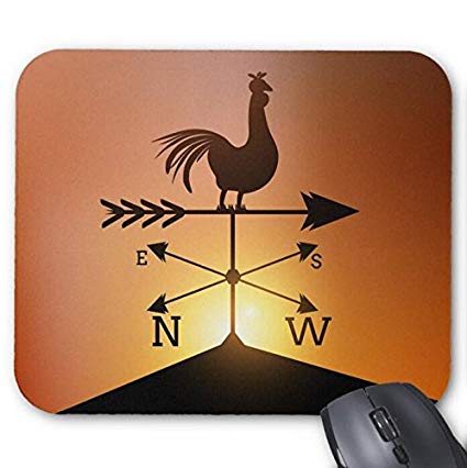 Weather Vane Vector