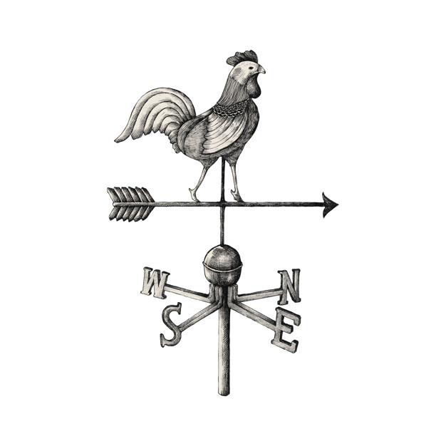 626x626 Hand Drawn Weather Vane Vector Premium Download