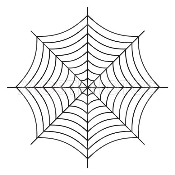 563x563 Anna Kaczorn Kuva Spider Web Vector Symbol Ic