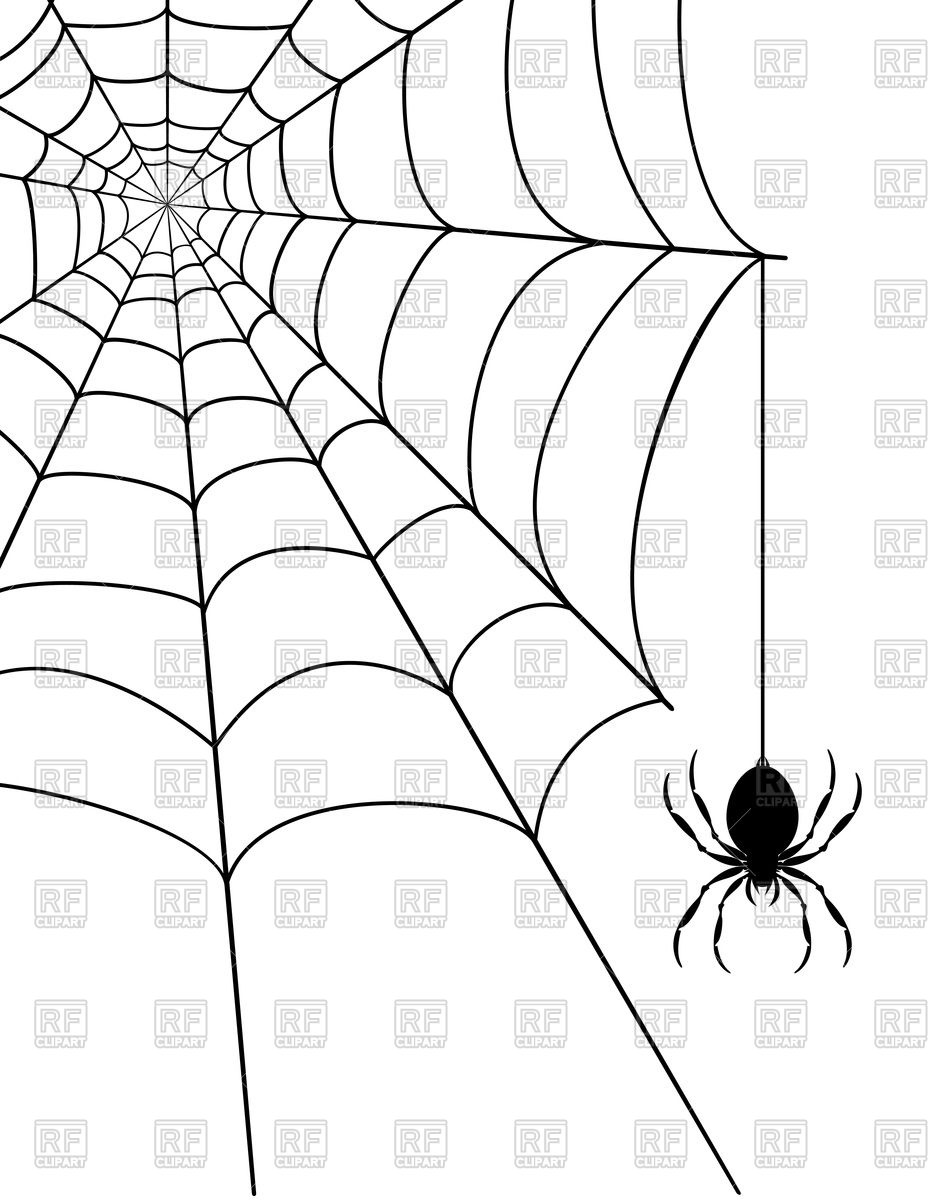 934x1200 Spider And Spider Web On White Background Vector Image