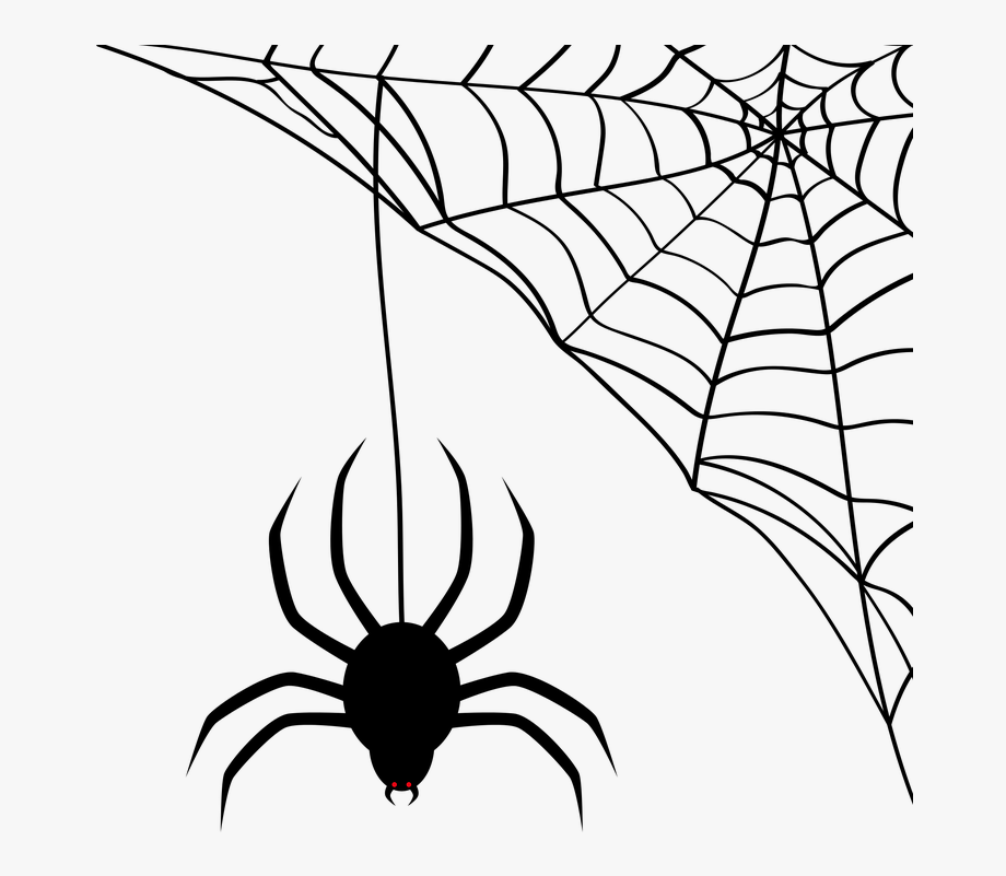 920x801 Web Spider Man Spider Scalable Vector Graphics