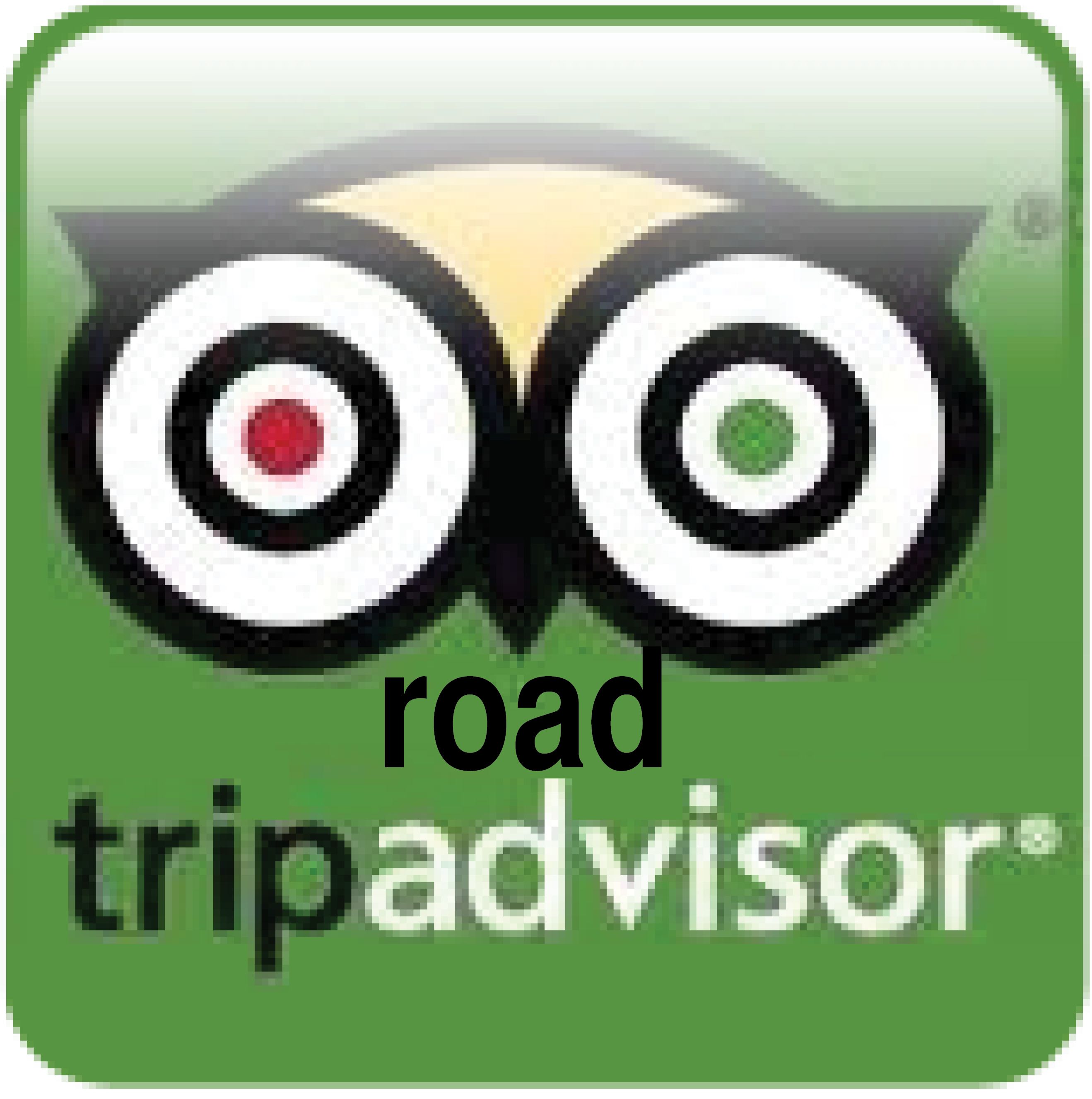 2637x2654 Tripadvisor Logo Vector Png Transparent Tripadvisor Logo Vector