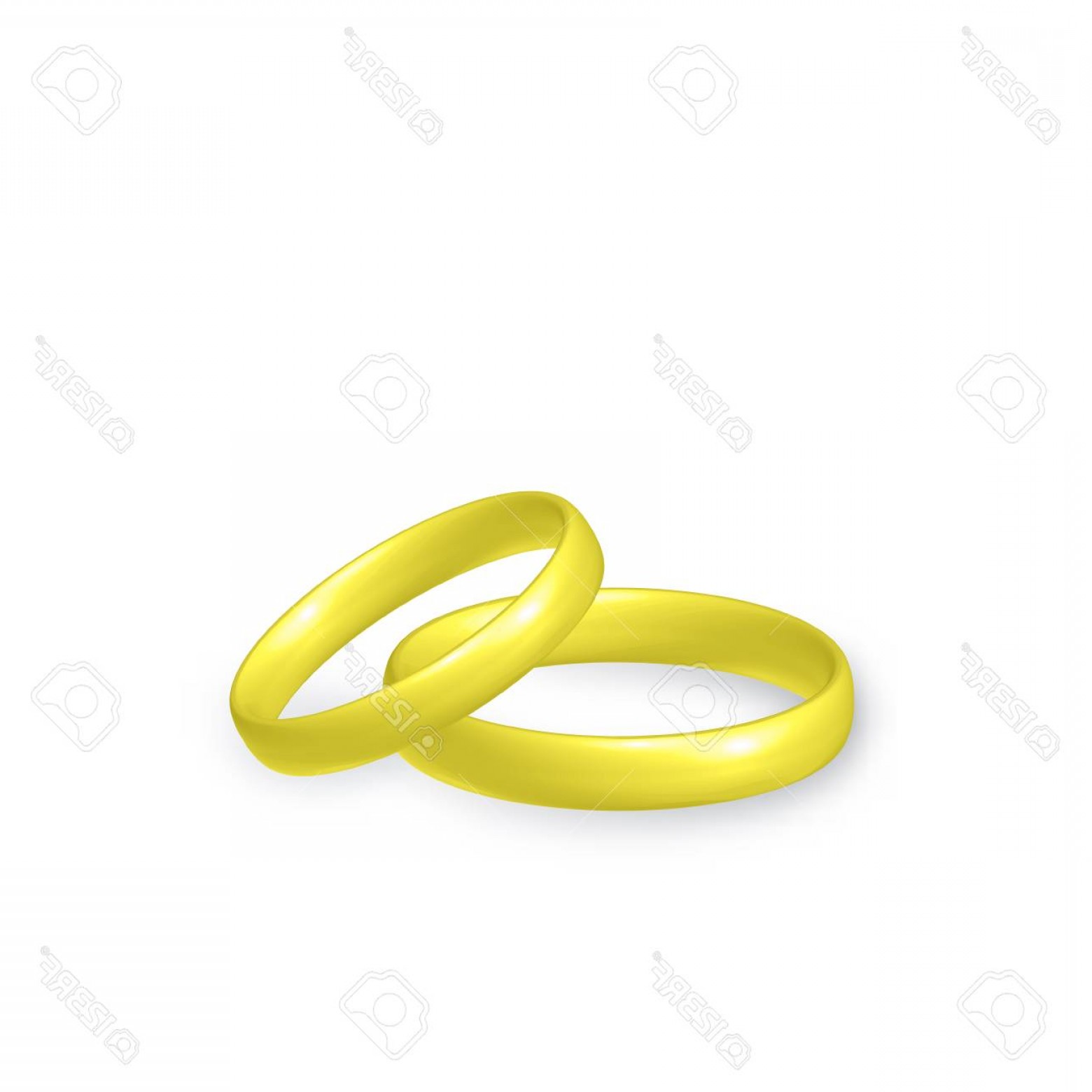 1560x1560 Photostock Vector Gold Wedding Rings Of Bride And Groom Marriage