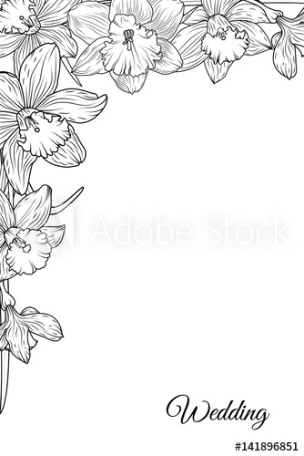 Narcissus Daffodil Blooming Flowers Corner Border Frame Template 334x500 Narcissus Daffodil Blooming Flowers Corner Border Frame Template