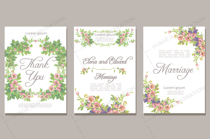 690x459 Flowers Vector Illustration