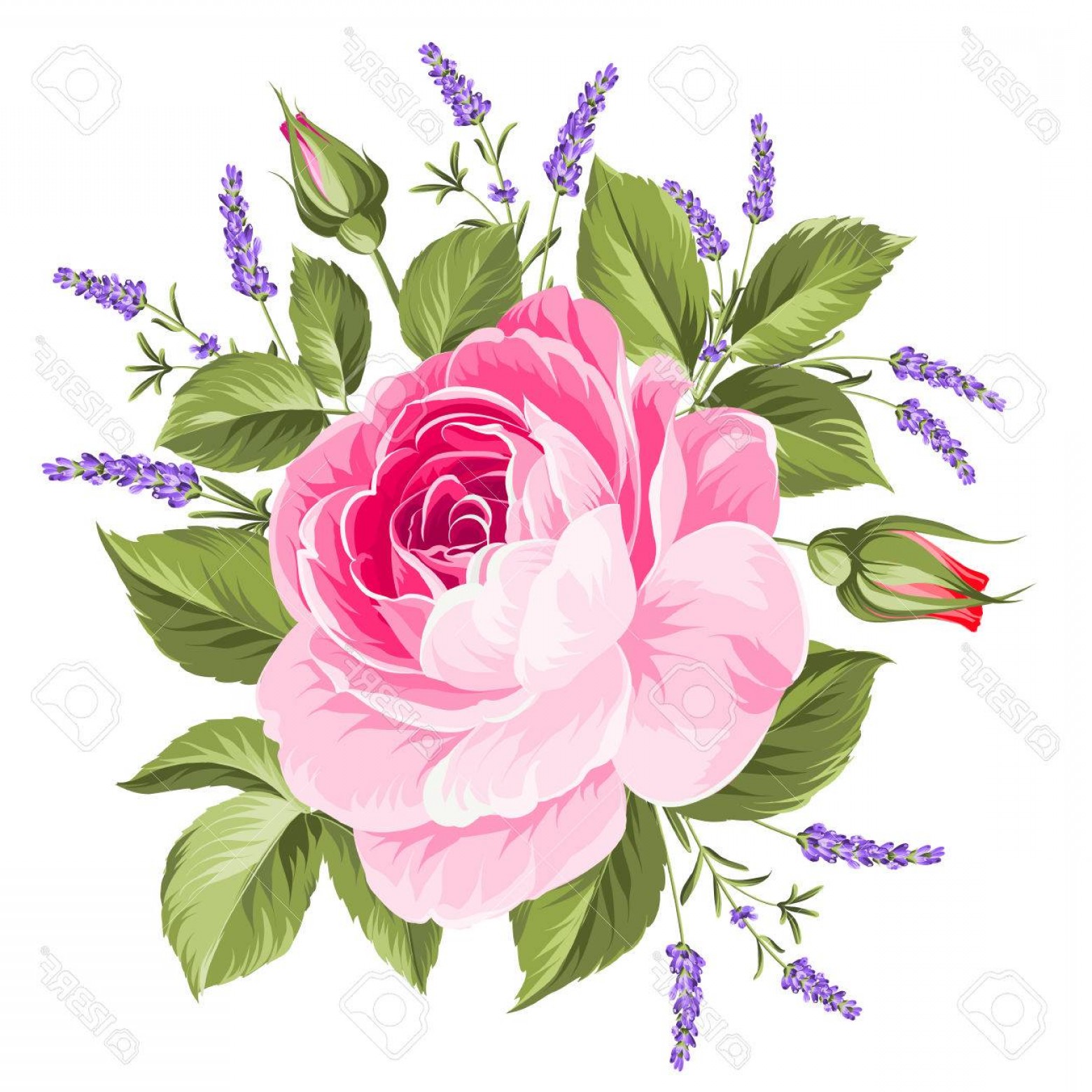 1560x1560 Photostock Vector Wedding Flowers Bouquet Of Color Bud Garland