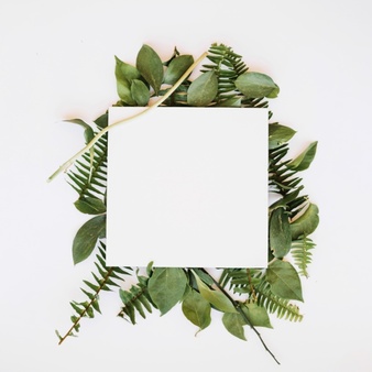 338x338 Greenery Background Vector Background Download