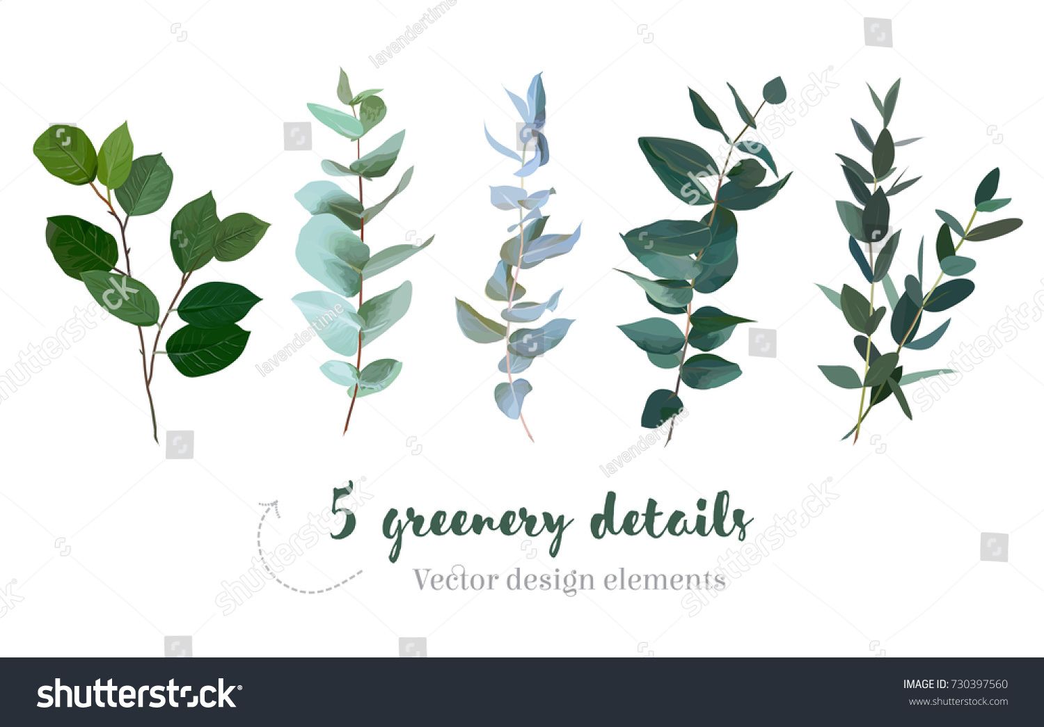 1500x1045 Mix Of Herbs And Plants Vector Big Collection Cute Rustic Wedding