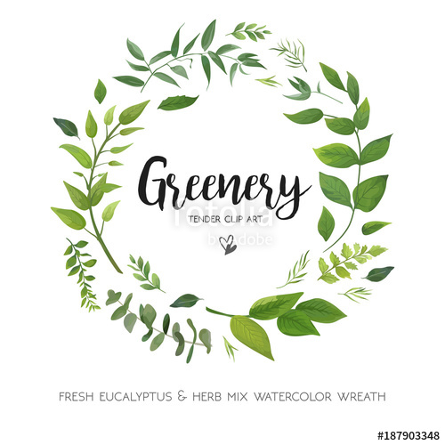 500x500 Floral Vector Card Design With Green Eucalyptus Fern Leaves