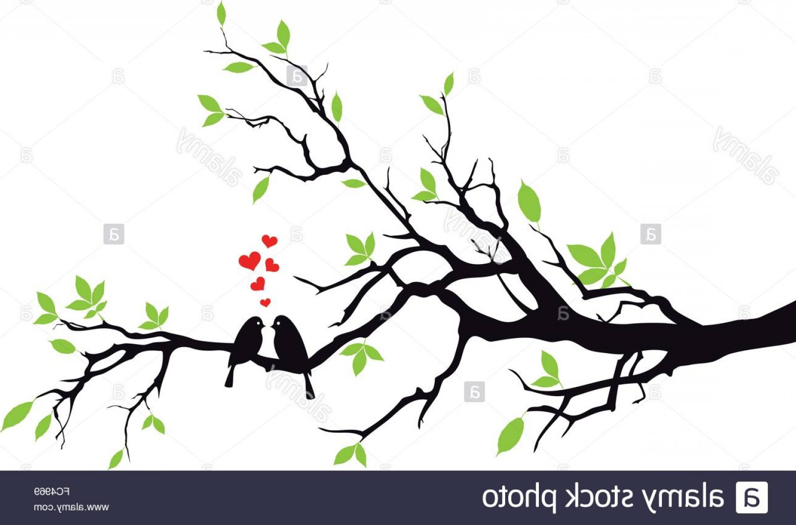 Vector Tree For Wedding Cqrecords 1560x1030 Vector Tree For Wedding Cqrecords