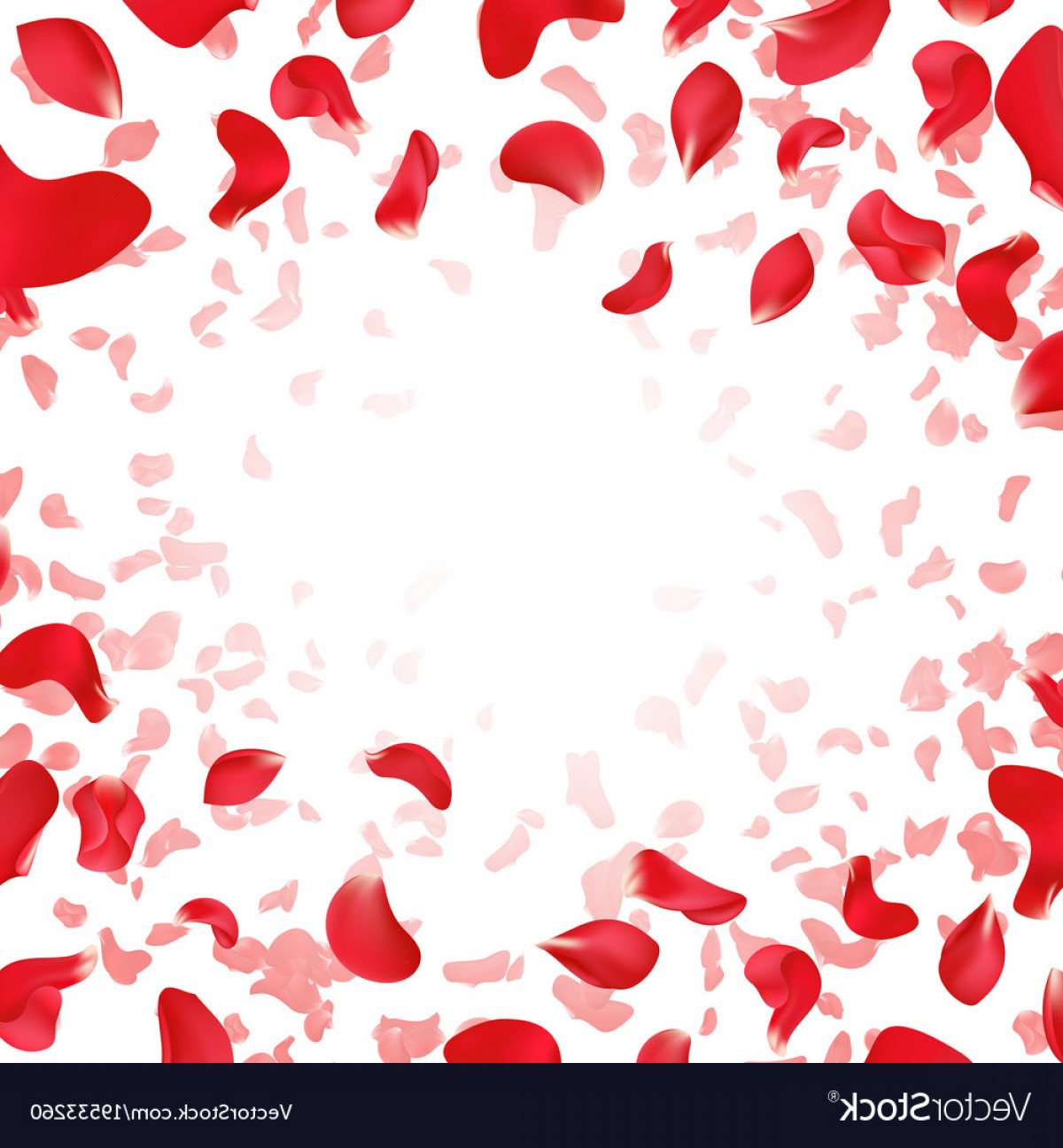 Red Rose Falling Scattered Petals Wedding Vector Soidergi 1200x1296 Red Rose Falling Scattered Petals Wedding Vector Soidergi