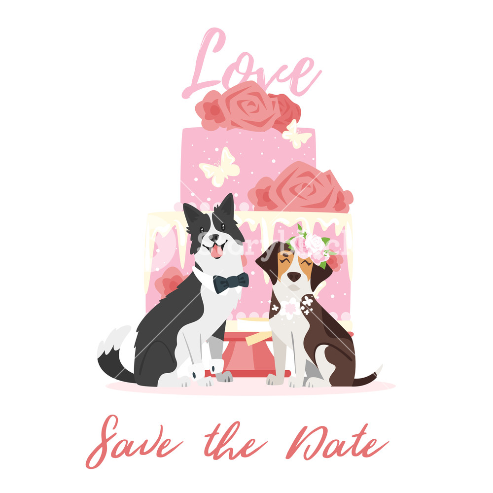 Vector Cartoon Style Dog Couple 1000x1000 Vector Cartoon Style Dog Couple