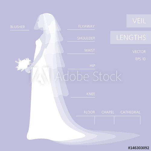 Wedding Veil Lengths Different Models Beautiful Bride In Profile 500x500 Wedding Veil Lengths Different Models Beautiful Bride In Profile