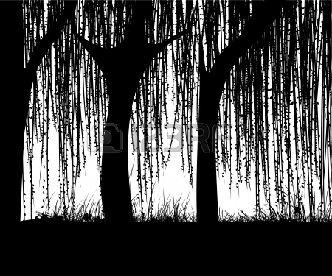 1350x1125 Stock Vector Willow Tree Consulting Tree Silhouette, Tree